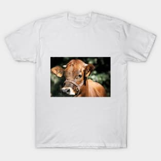 Veal T-Shirt